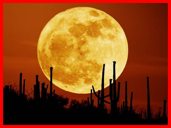 Mơ thấy mặt trăng đánh con gì? Ý nghĩa điềm báo giấc mơ Mơ thấy mặt trăng đánh con gì? Ý nghĩa điềm báo giấc mơ