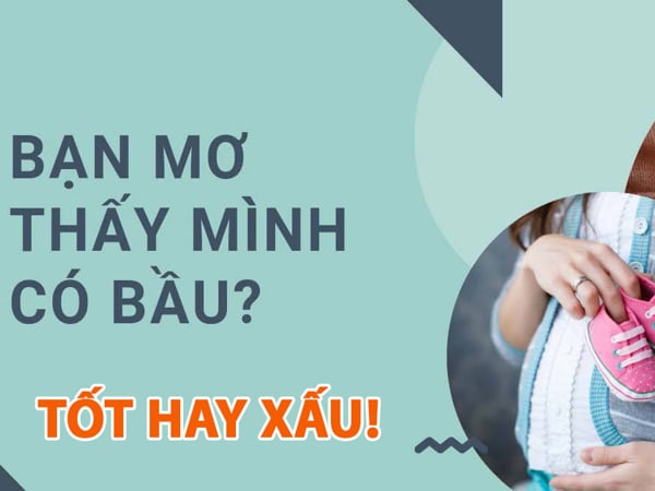 Giải mã giấc mơ thấy mình có bầu điềm gì, đánh con gì may mắn? Giải mã giấc mơ thấy mình có bầu điềm gì, đánh con gì may mắn?