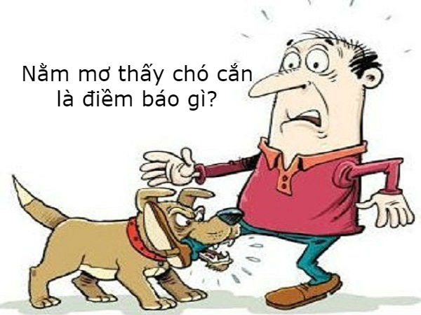 Giải mã giấc mơ thấy chó cắn điềm gì, đánh con gì phát tài? Giải mã giấc mơ thấy chó cắn điềm gì, đánh con gì phát tài?