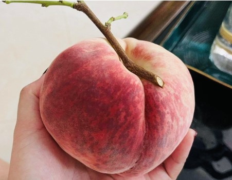 Quả đào tiên số mấy? Nằm mơ thấy quả đào tiên đánh con gì Quả đào tiên số mấy? Nằm mơ thấy quả đào tiên đánh con gì