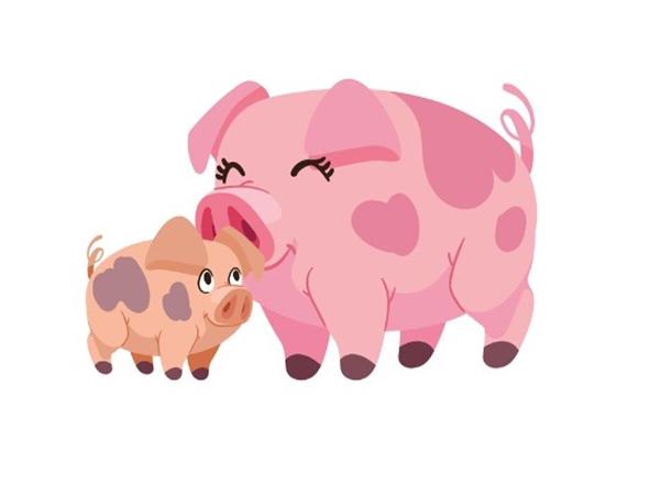 Con số trúng thưởng tuổi Hợi ngày 13/11/2024 thứ 4 hôm nay Con số trúng thưởng tuổi Hợi ngày 13/11/2024 thứ 4 hôm nay